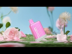 Drala 600/800 soplos Vape disponible encierra el cigarrillo Vape del sabor E de la fruta