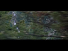 Perfil de compañía